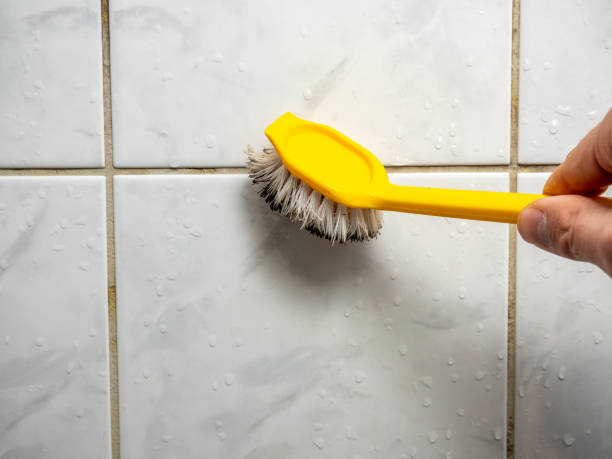 Best Bathroom Mold Remediation in Island Park, NY